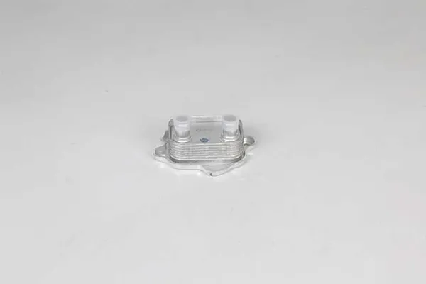 Motor Yağ Soğutucu  BSG 15-506-042