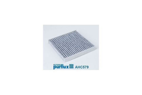 Polen Filtresi  PURFLUX AHC579