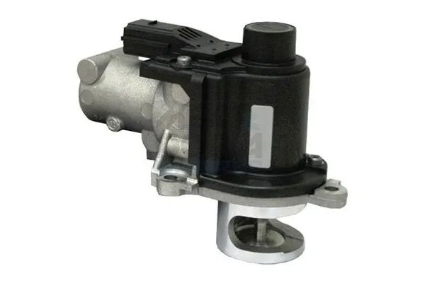 Egr Valfi  Audi A8 (4E)(11.2002->)  HELLA 6NU 014 865-671