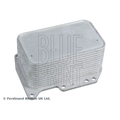 Motor Yağ Soğutucu  Renault Master III Kamyonet / Şasi - Çift Kabin (06.2010->)  BLUE PRINT ADBP610008