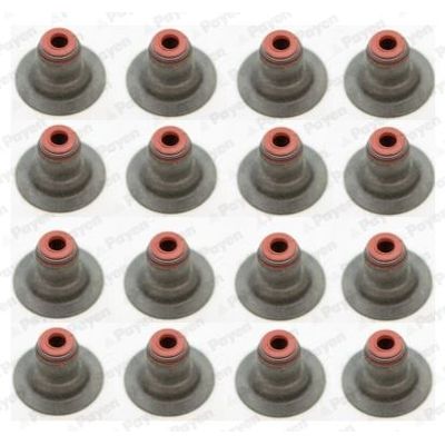 Supap Lastiği  Opel Mokka X (2016->)  PAYEN HR5087