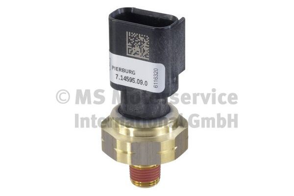 Yağ Müşürü  PIERBURG 7.14595.09.0