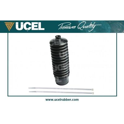 Direksiyon Körüğü Sağ RIW FI13006