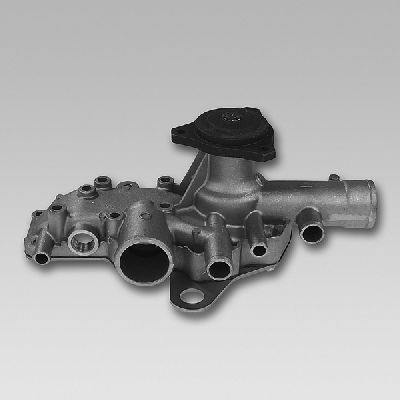 Devirdaim Su Pompası  GRAF PA110