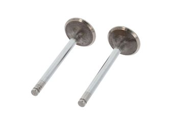 Supap  GÜNEŞ 4531-4532  94859 94960 93510415 96005391 094859 94863 094863 94894 094894 9351036580 9601136380 LGH10051 LGH10053