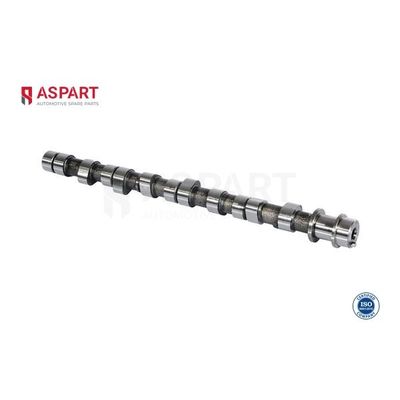 Eksantrik Mili  Mitsubishi L200 (K70)(1996->)  ASPART 8CAM1106