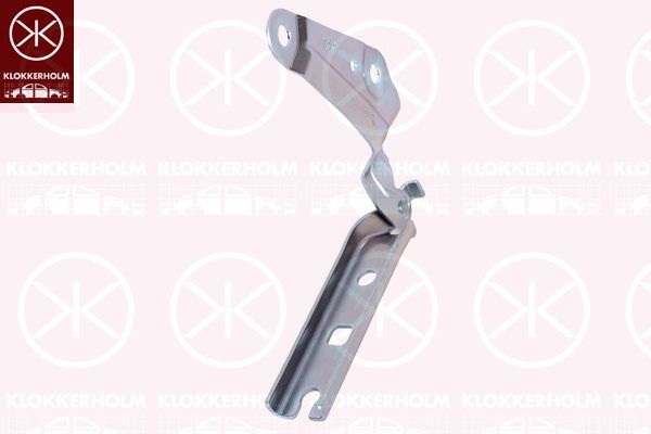 Motor Kaput Menteşesi Sol GORDON BT0579L