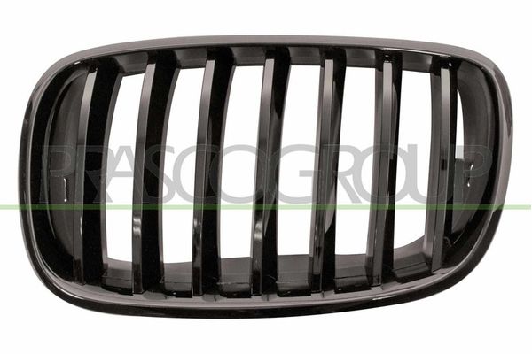 Panjur Ön BMW X6 M Serisi (E71)(2009->)  WENDERPARTS BA0703105