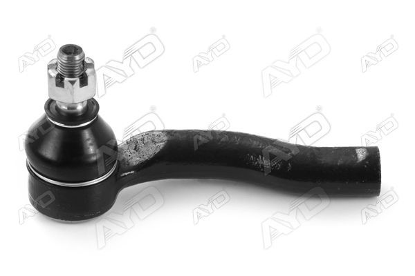 Rot Başı Sol AYD 18871