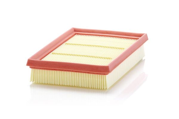 Hava Filtresi  Lexus RX (AL30)(2022->)  MANN C 24 076