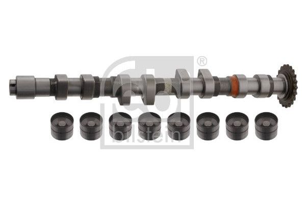 Eksantrik Mili  Seat Alhambra (7V8)(01.1996->)  FEBI BILSTEIN 33199