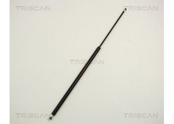 Bagaj Amortisörü Sağ veya Sol PSA ORJINAL 8731E0  8731E0 8731.E0 8731EO 8731.EO 8731P6 8731.P6