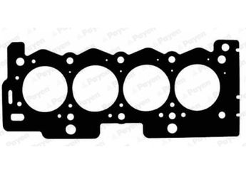 Silindir Kapak Contası  PAYEN RAD5711  209W7 209CK 0209.CK 0209.W7