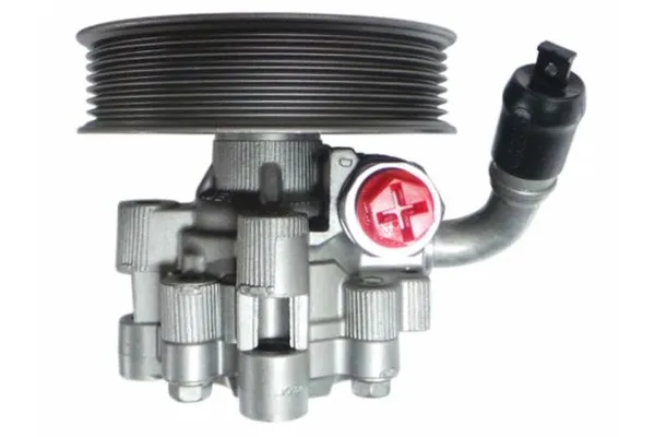 Direksiyon Pompası  Chrysler 300C (LE/LX)(2004->)  SPIDAN 52788