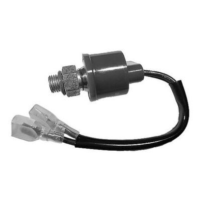 Klima Basınç Müşürü  MAHLE ASW 19 000S