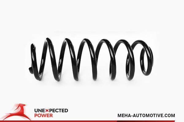 Helezon Yayı Arka STANDART YAY 134076R