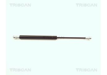 Bagaj Amortisörü Sağ veya Sol TURKAS S188-00045  8731A2 8731.A2