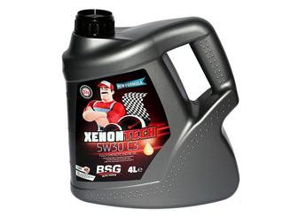 Motor Yağı-Partikül (4 Lt) 5W30  BSG 99-999-068  