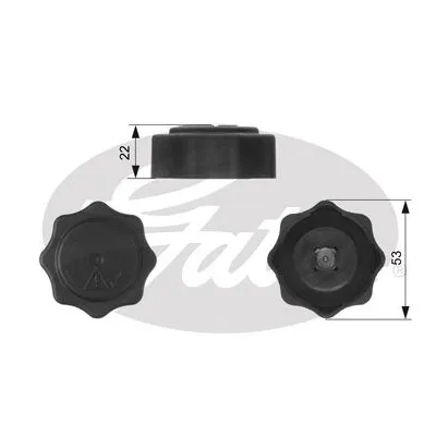Radyatör Kapağı  MG Rover Rover 25 (RF)(1999->)  GATES RC229
