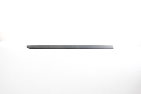 Kapı Bandı Ön Sol Renault Megane II HB (10.2002->)  BSG 75-924-019