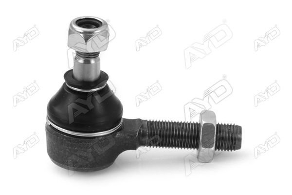 Rot Başı Sol AYD 01897