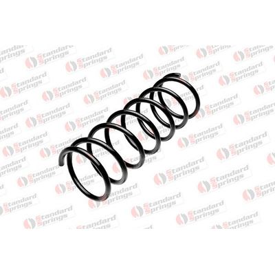 Helezon Yayı Arka OTOZONE HYA8006