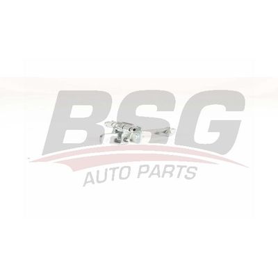 Kapı Gergisi Ön Sağ veya Sol Renault Master III Kombi (02.2011->)  BSG 75-975-004