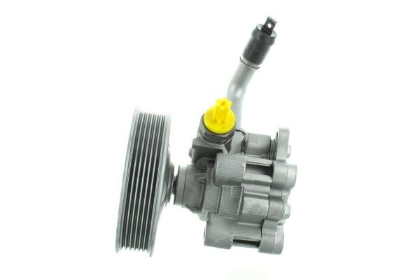 Direksiyon Pompası  SPIDAN GKNY10158