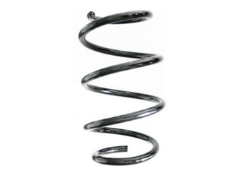 Helezon Yayı Ön SPIDAN GKNW10030  31336876875 31 33 6 876 875