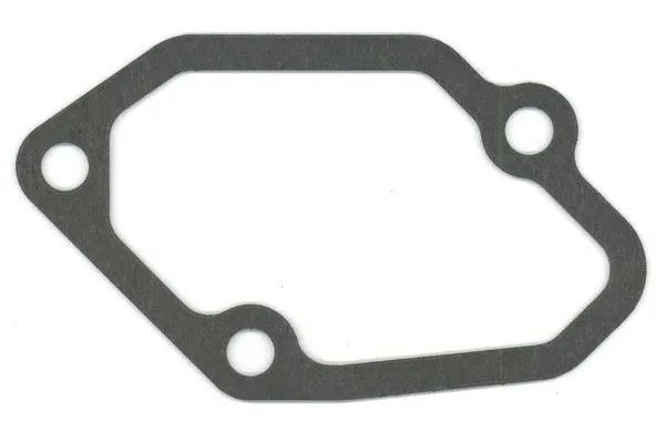 Manifold Contası  ELRING 756.830