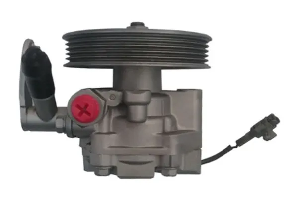 Direksiyon Pompası  SPIDAN GKNY10105