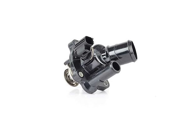 Termostat Gövdesi  BSG 30-126-016