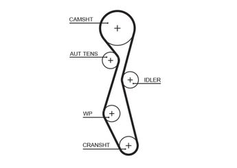 Triger Kayışı  GATES 5633XS  816J5 0816.J5 9662187580 6G9Q6K288AB 0816J5 96621875 96621876 9662187680 1427861 1451510 C2S44018 LR004257 MN982125