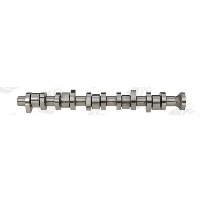 Eksantrik Mili  MOTIVE T069SKB