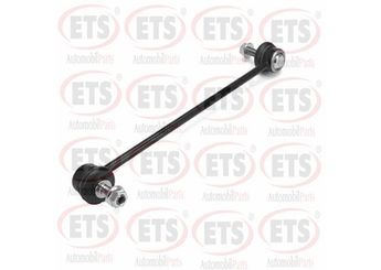 Viraj Demir Askı Rotu Ön Sağ veya Sol RIW DC4003  551100710R