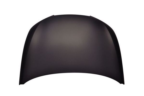 Motor Kaputu  VORTEX V3614288