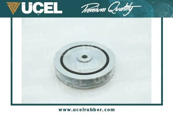 Krank Kasnak  Renault Scenic RX4 (JA0)(06.2000->)  UCEL 1003