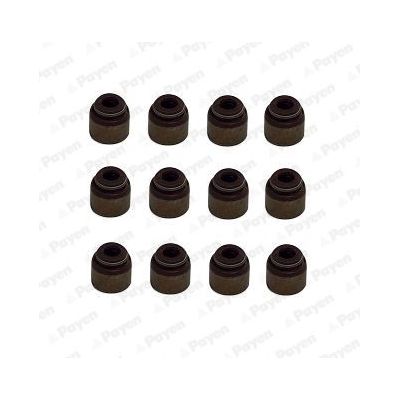 Supap Lastiği  STONE JF-06435