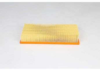 Hava Filtresi  BSG 15-135-015  LR011593 AH429610AA LR0 11593