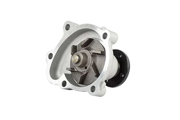 Devirdaim Su Pompası  BSG 65-500-012