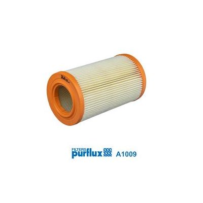 Hava Filtresi  PURFLUX A1009