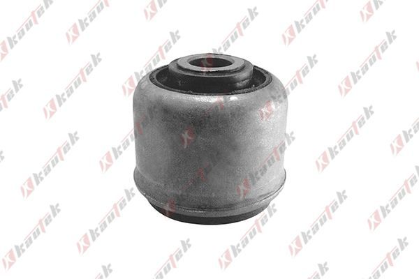 Salıncak Burcu Ön Alt Sağ veya Sol Renault R 19 5 Kapı (B/C53)(06.1988->)  KAUTEK RE-BS045