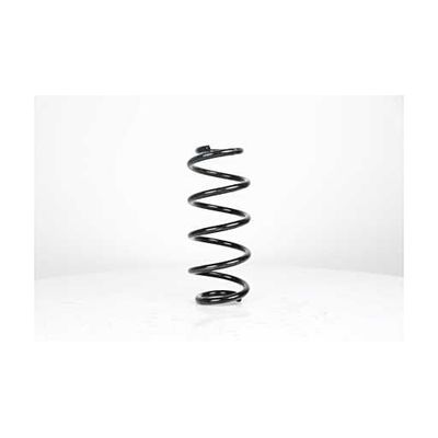 Helezon Yayı Ön BSG 90-305-005