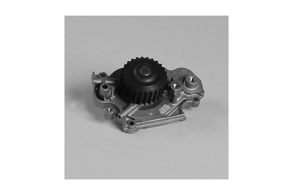 Devirdaim Su Pompası  GK 987816