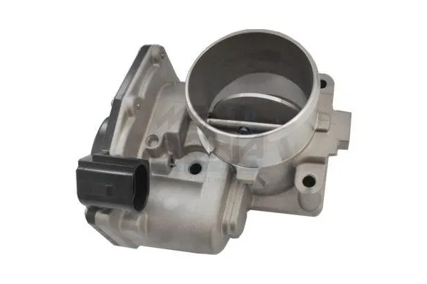 Gaz Kelebeği  MOBIS 351002F000