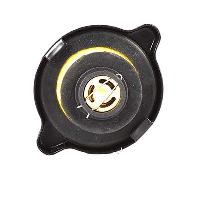 Radyatör Yedek Su Depo Kapağı  BSG 30-551-004