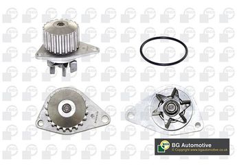 Devirdaim Su Pompası  BGA CP2424  1623095780 PFS100020EVA 120118 1201.18 120147 1201.47 1201000 120218 1202.18 120434 1204.34 120718 1207.18 120723 1207.23 1609314780 1611896580 3451001263 9451001263 9617376980 E111223 E111427 E111669 GWP195 GWP341