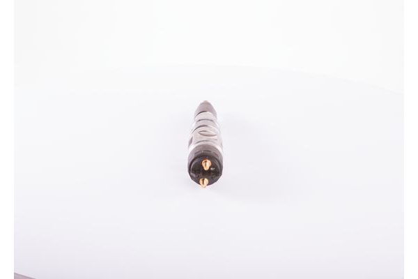 Enjektör  BOSCH 0 445 120 456