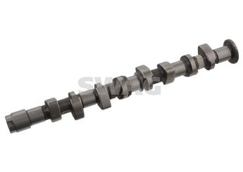 Eksantrik Mili  SWAG 30 93 2863  30109101BG 030 109 101 BG 30 109 101 BG