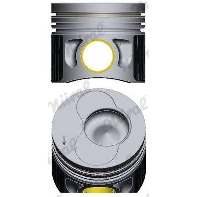 Piston (81.50MM-STD)  NÜRAL 8772156050000G